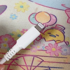 値下げ ほぼ未使用 多摩電子工業 タマズ ライトニングケーブル  iPhone用の画像