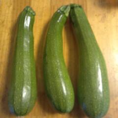 6月3日まで ズッキーニ3本の画像