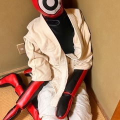 グラップリングダミー人形の画像