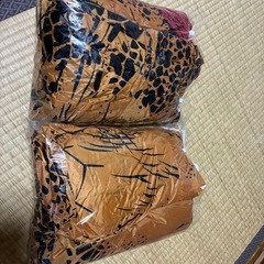 着ぐるみ 恐竜2体の画像