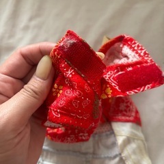 犬用服の画像