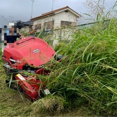 草刈り・伐採・抜根処分お任せ下さい！