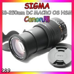 美品♡動作良好 SIGMA 18-250mm DC MACRO ...