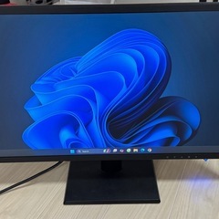 液晶モニター/PRINCETON/22インチ