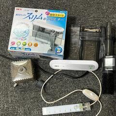 金魚1体セットの画像