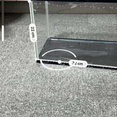 金魚1体セットの画像