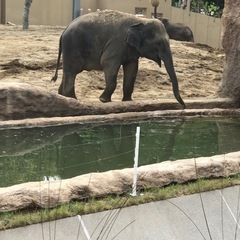 円山動物園