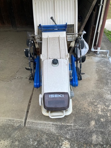 イセキ　さなえ