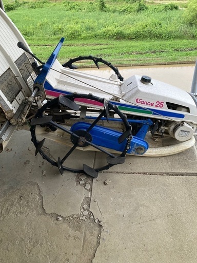 イセキ　さなえ