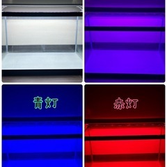 【受付終了】中古60cm水槽セット｜プログラムタイマー＋LEDライト+おまけ付き【手渡し限定／動作確認済】 の画像