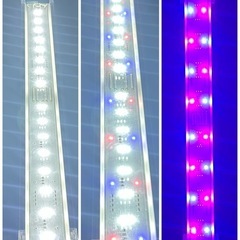 【受付終了】中古60cm水槽セット｜プログラムタイマー＋LEDライト+おまけ付き【手渡し限定／動作確認済】 の画像