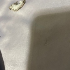 レディース 半袖短パンパジャマの画像