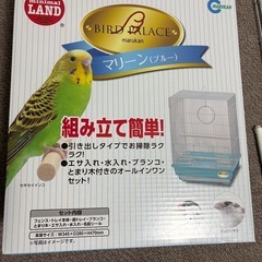 鳥かご
