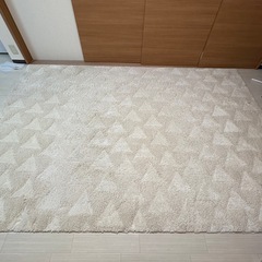 (決まりました)カーペット