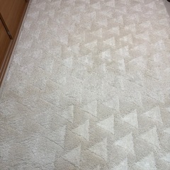 (決まりました)カーペットの画像