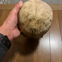 髑髏
の画像