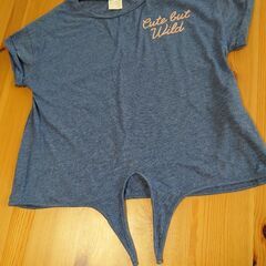 Tシャツ150の画像