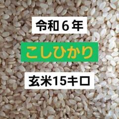 令和６年　三重県産　コシヒカリ　玄米　15キロ
