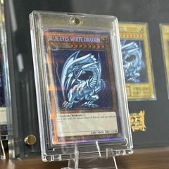 遊戯王 青眼コレクションの画像