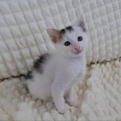甘えん坊男の子