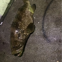 打ち込み友達欲しいです🫡