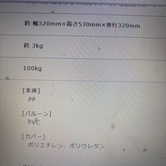 効果なし笑笑  バウンズシェイプ定価１万２千円位の画像
