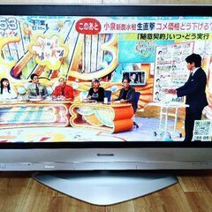 パナソニック　ビエラ42V