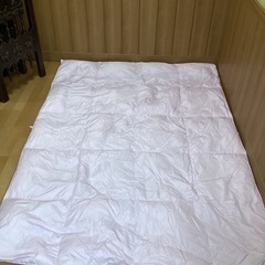 Nina Ricci薄手の羽毛布団の画像