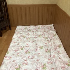Nina Ricci薄手の羽毛布団