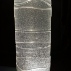 ゾウリムシ③ 900ml