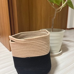 編み込みバスケット　鉢カバー　観葉植物　