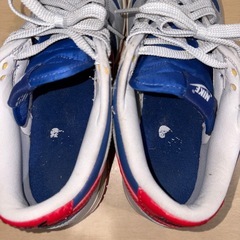 NIKE ナイキ DUNK LOW Samba ハイパー
ブルー/サンバー/シルバー　CZ2667-400の画像
