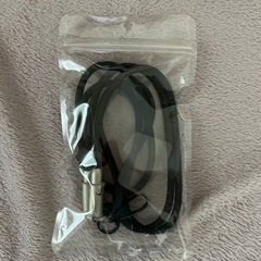 スマートフォン ショルダー Lightning/typeC 20Wの画像