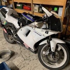 TZT50 3TU レーサー 原付 2スト 原チャリ