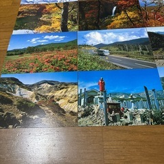 蔵王ポストカードx15枚の画像