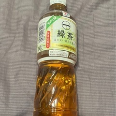 一（はじめ）八女茶入り600ml 賞味期限2025.12.10 ...