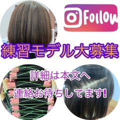 練習モデル