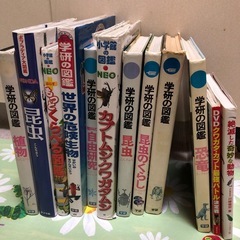 図鑑等セット
