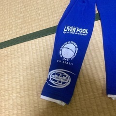 Freesual フットサル長袖Tシャツ 青の画像