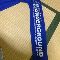 Freesual フットサル長袖Tシャツ 青の画像