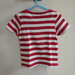 Champion Tシャツ 半袖の画像