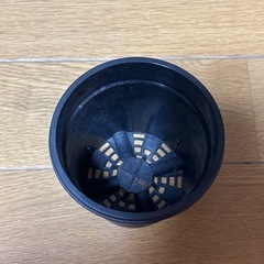 植木鉢　小さい　プラスチック　黒の画像