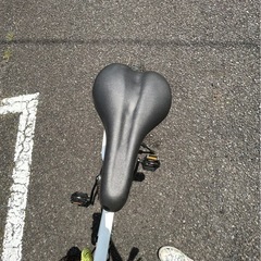 ファットバイク 20インチ Wディスクブレーキ 自転車本体 EIZER F120の画像