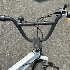 ファットバイク 20インチ Wディスクブレーキ 自転車本体 EIZER F120の画像