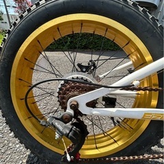 ファットバイク 20インチ Wディスクブレーキ 自転車本体 EIZER F120の画像