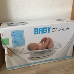 ケラッタ　ベビースケール
