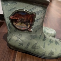 恐竜(16cm)アンパンマン(14cm)長靴の画像