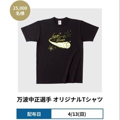 【新品未開封】ファイターズ 万波中正選手オリジナルＴシャツ 新品未使用の画像