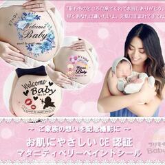 【未使用品】マタニティペイント　A4サイズの画像