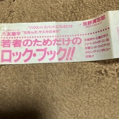 ロックインタビュー、評論集の画像